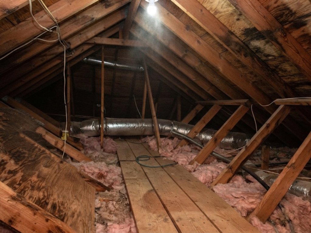 Attic Mold Removal TilTop Roofers GTA